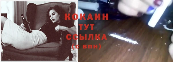 хмурый Краснослободск