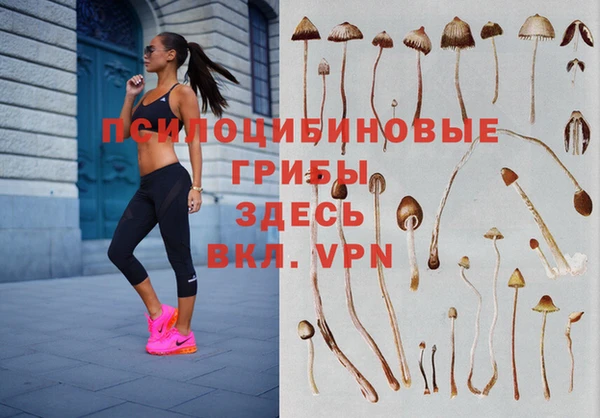 хмурый Краснослободск