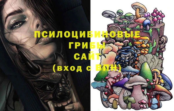 хмурый Краснослободск