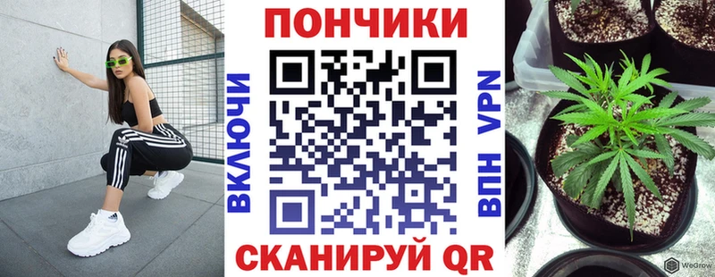 Купить  Обнинск  Шишки марихуана планчик 